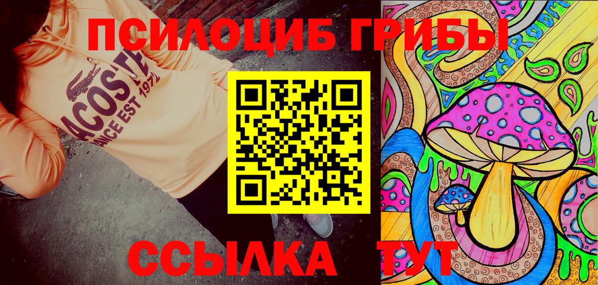 Псилоцибиновые грибы Psilocybe Куйбышев