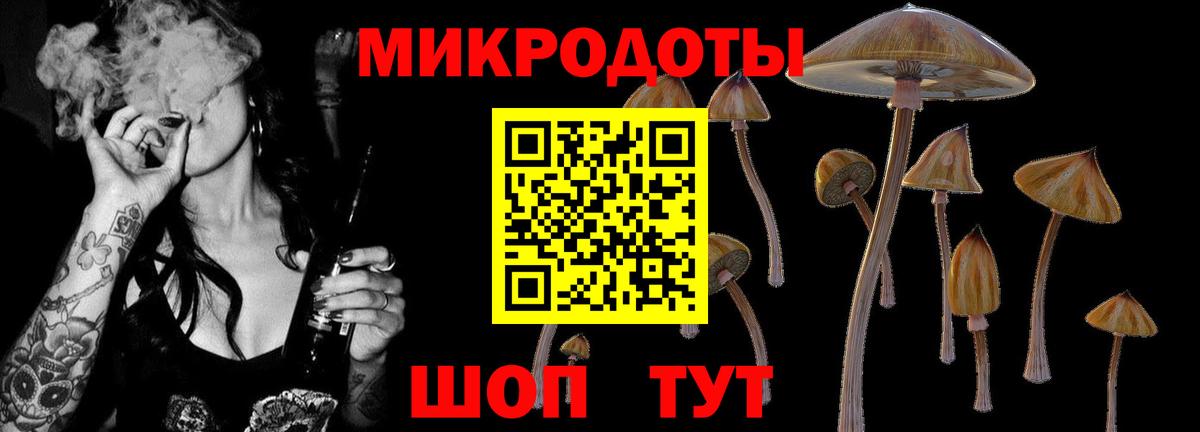 Псилоцибиновые грибы MAGIC MUSHROOMS  Псилоцибиновые грибы мицелий  Вход с VPN  Куйбышев 